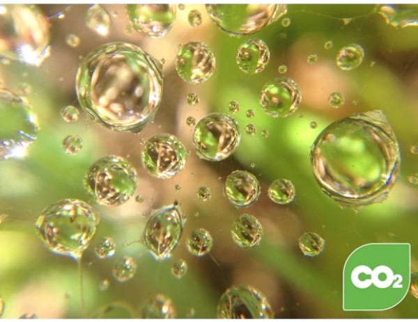 Lenovo Legion 5 Pro Gen 7 (16 amd)