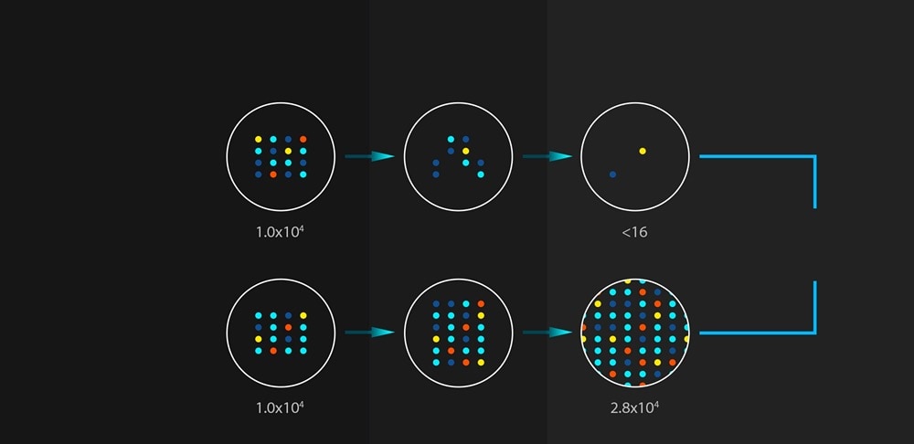Deux boîtes de Pétri différentes sont présentées ici. Seule la boîte supérieure est traitée avec ASUS Antibacterial Guard. Le résultat montre une réduction de 99 % de la quantité de bactéries par rapport à la boîte de Petri non traitée. 
