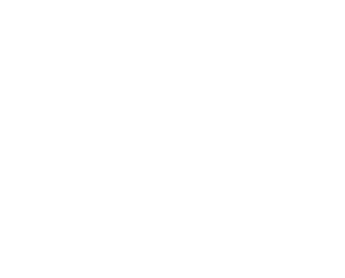 MSI Matrix icon
