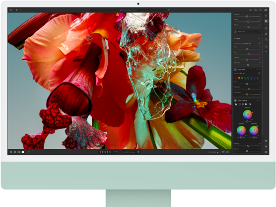 iMac affichant une fleur colorée vue dans Adobe Lightroom pour montrer la gamme de couleurs et la résolution de l'écran Retina 4,5K.